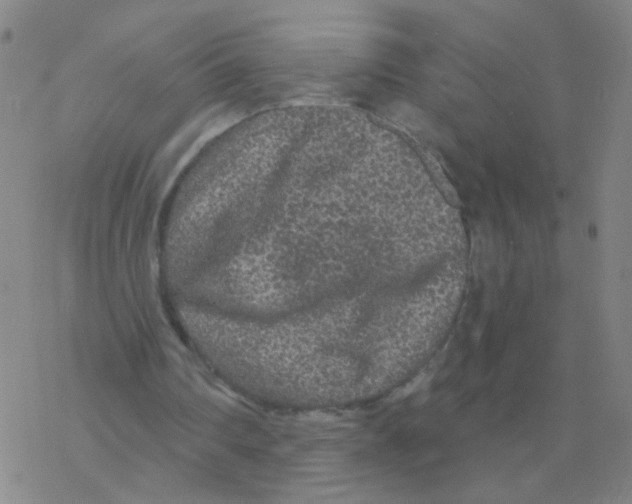 X0000076320290200610272011