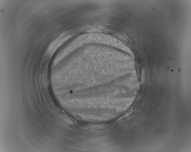 X0000076320291200610272011