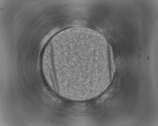 X0000076320292200610272011