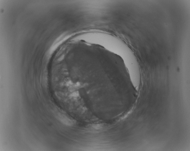 X0000076320295200610272011