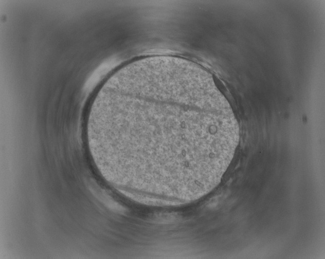 X0000076320296200610272011