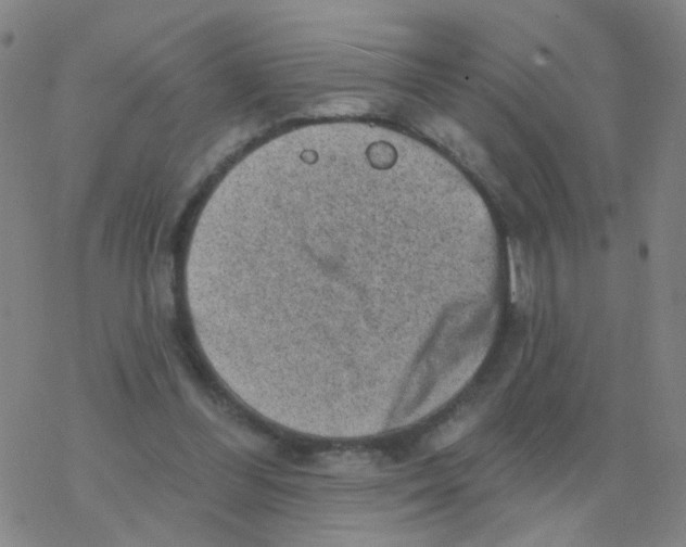 X0000076320300200610272011