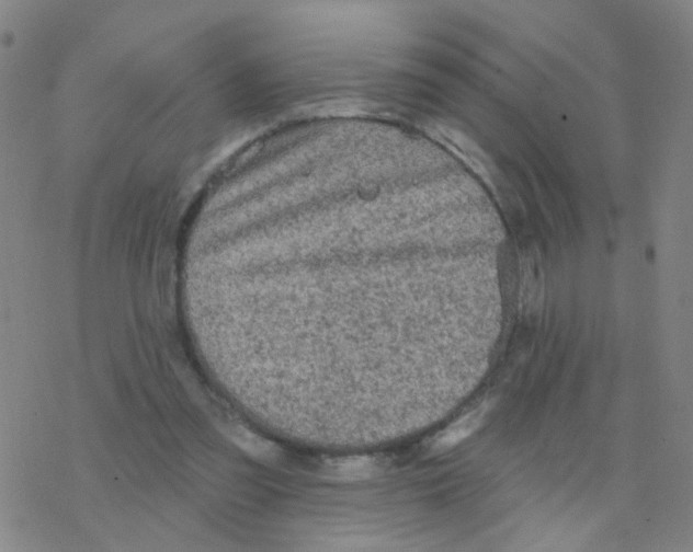 X0000076320301200610272011