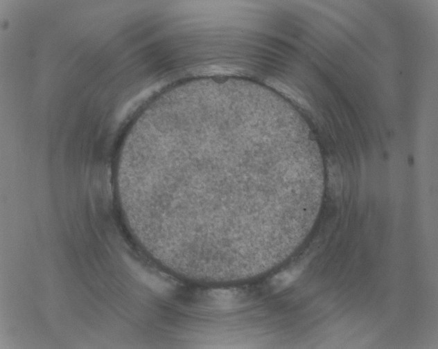 X0000076320302200610272011