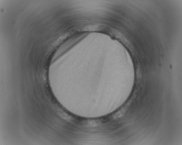 X0000076320305200610272011