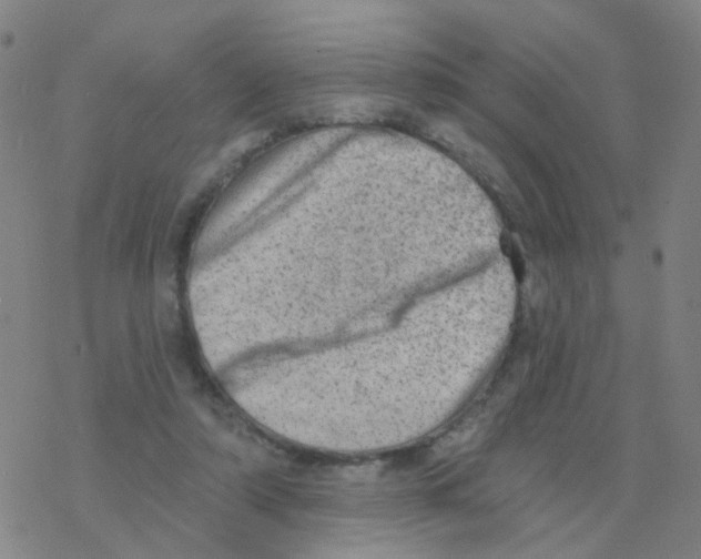 X0000076320306200610272011