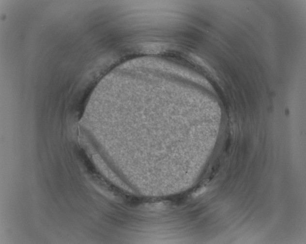 X0000076320307200610272011