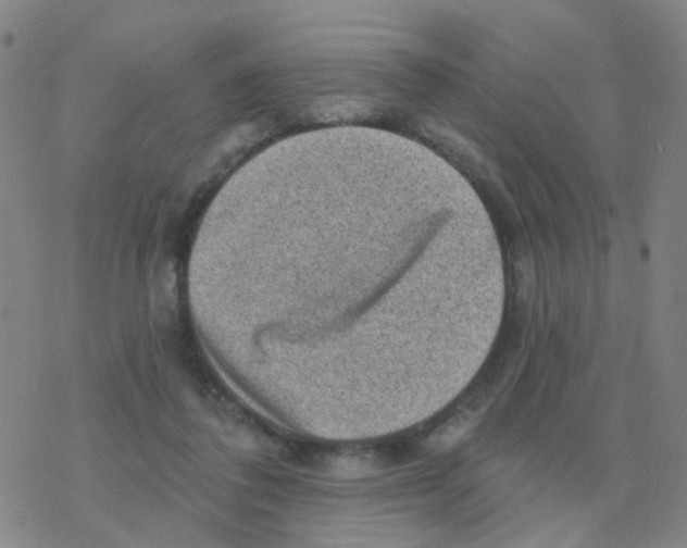 X0000076320308200610272011