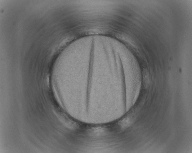 X0000076320310200610272011