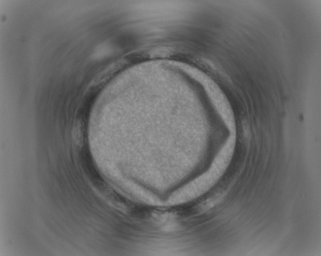 X0000076320311200610272011