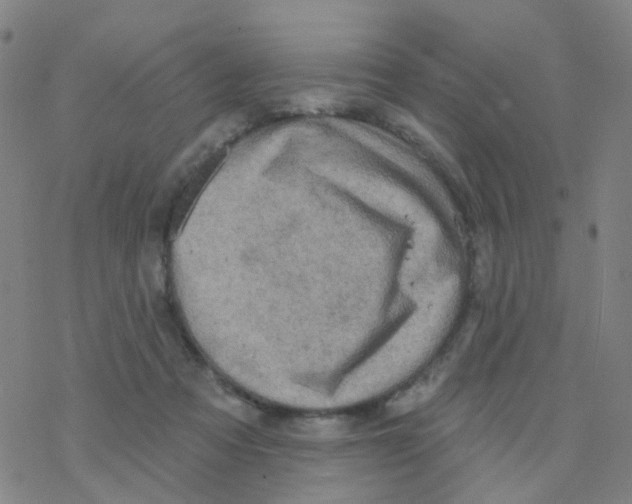 X0000076320313200610272011