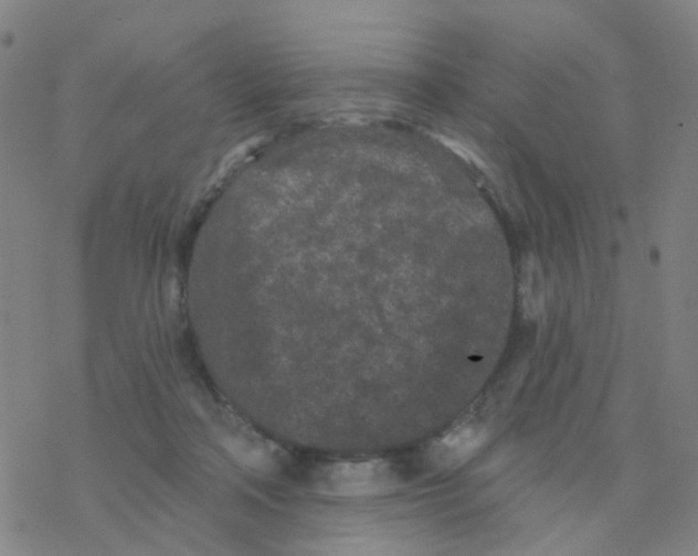 X0000076320314200610272011