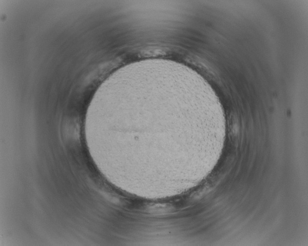 X0000076320315200610272011