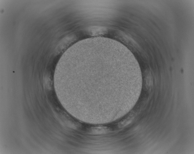 X0000076320316200610272011