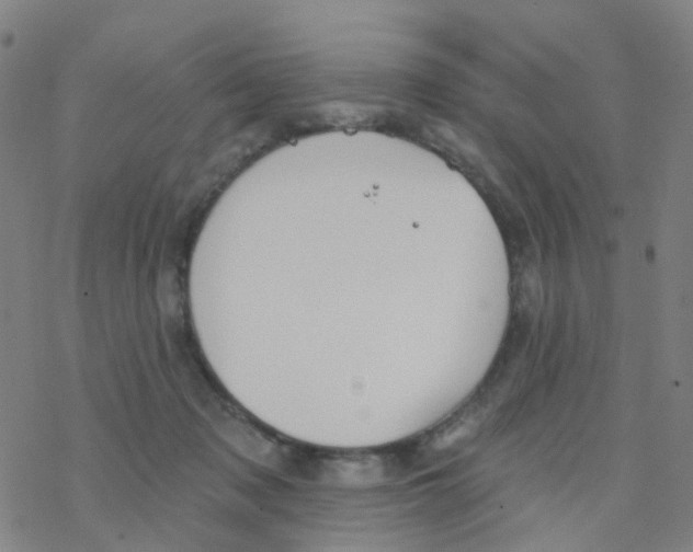 X0000076320317200610272011