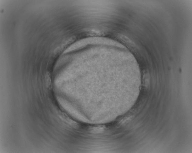 X0000076320318200610272011