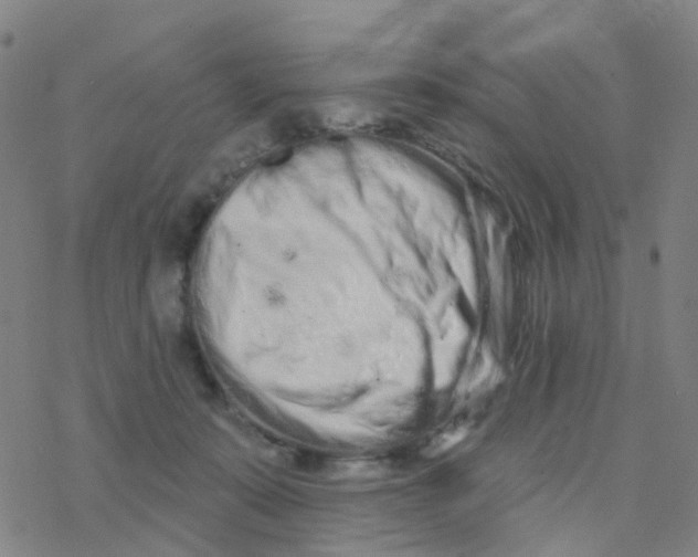 X0000076320319200610272011