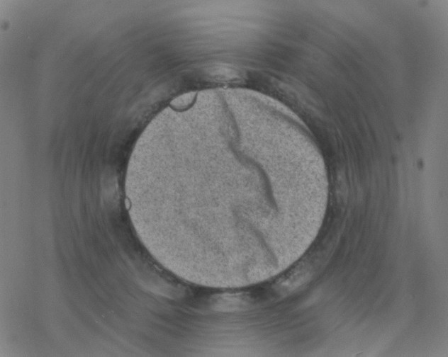 X0000076320320200610272011