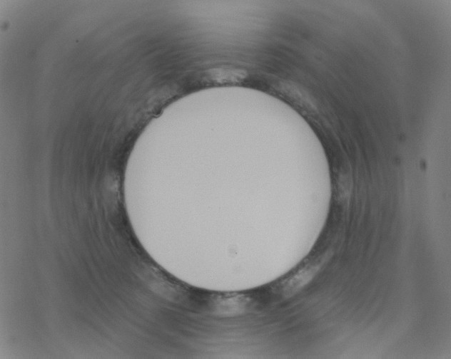 X0000076320321200610272011