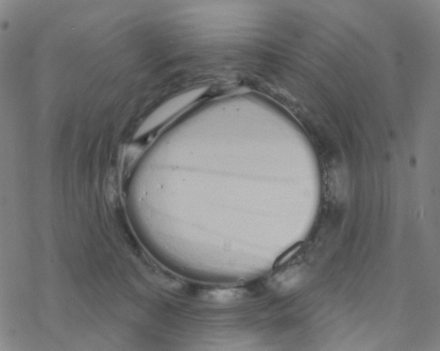 X0000076320323200610272011