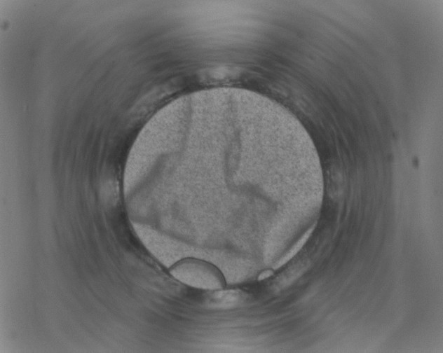 X0000076320324200610272011