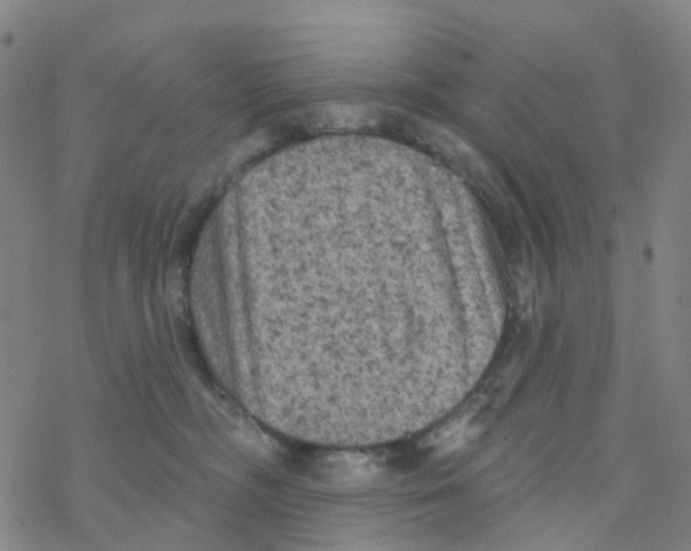 X0000076320326200610272011