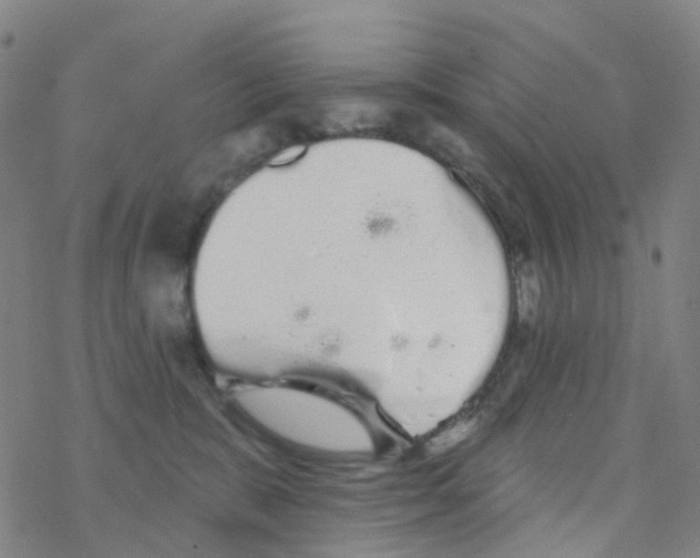 X0000076320327200610272010