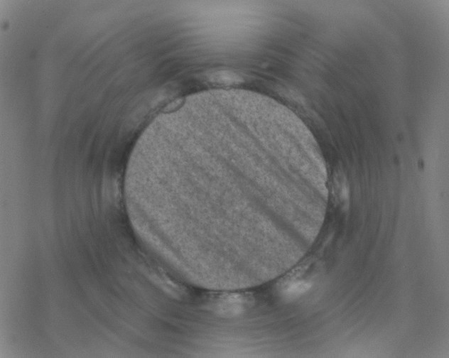 X0000076320330200610272010