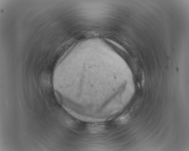 X0000076320331200610272010