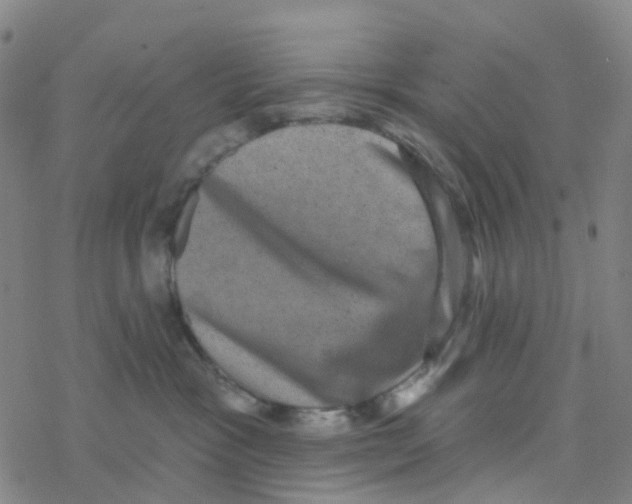 X0000076320333200610272010