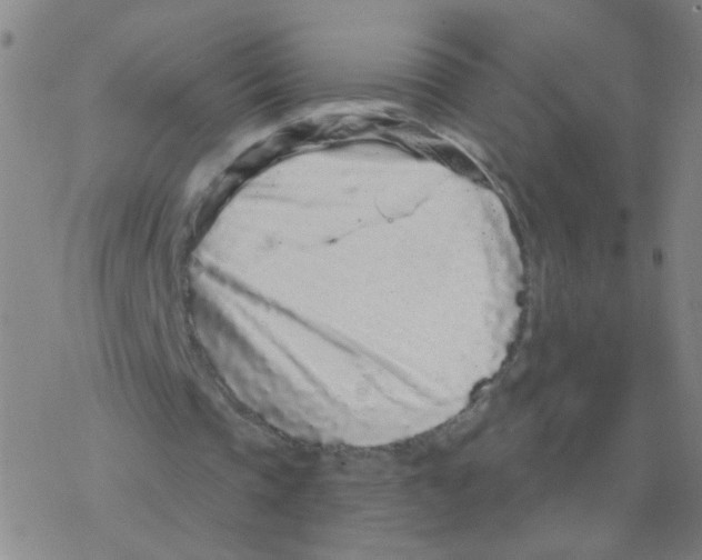 X0000076320337200610272010