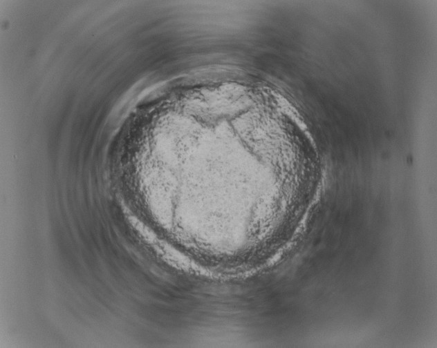 X0000076320339200610272010