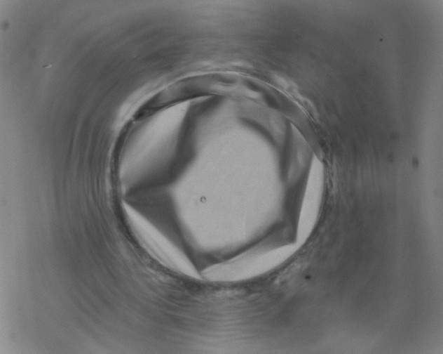 X0000076320340200610272010