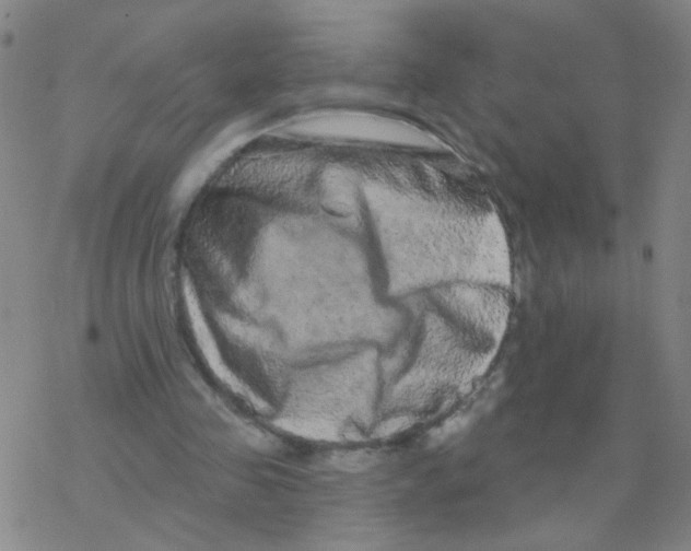 X0000076320341200610272010