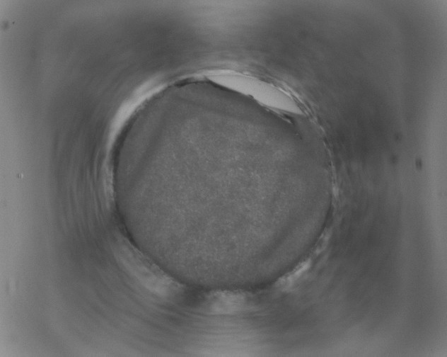 X0000076320343200610272010