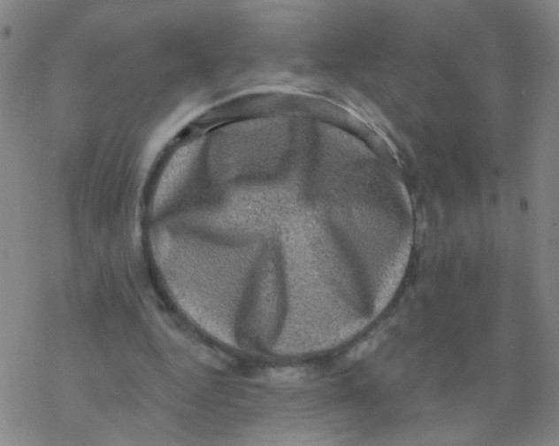 X0000076320344200610272010