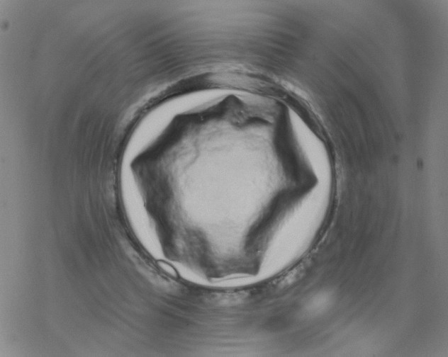 X0000076320345200610272010