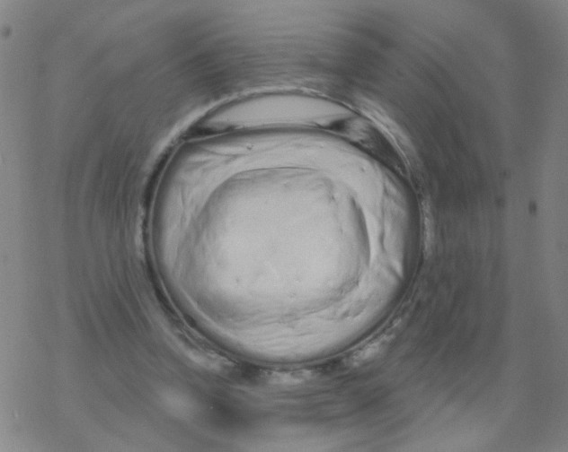 X0000076320346200610272010