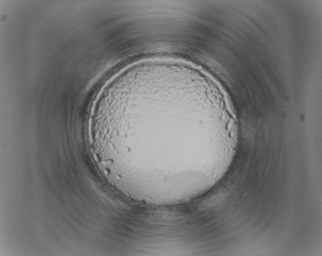 X0000076320347200610272010