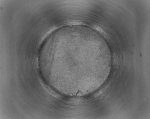 X0000076320351200610272010