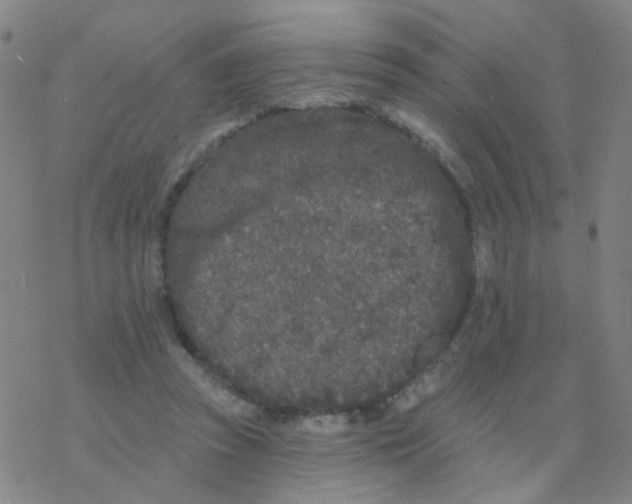 X0000076320353200610272010