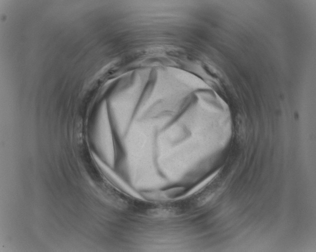 X0000076320356200610272010