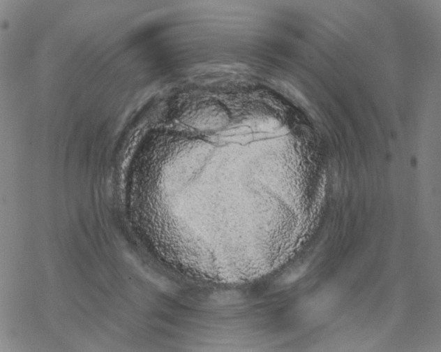 X0000076320357200610272010