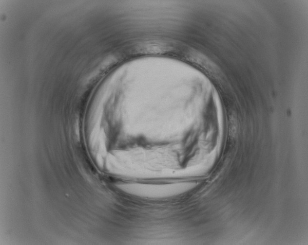 X0000076320358200610272010