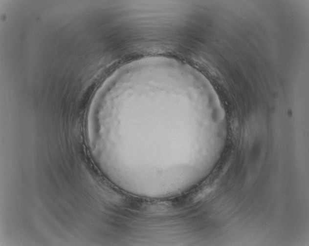 X0000076320359200610272010