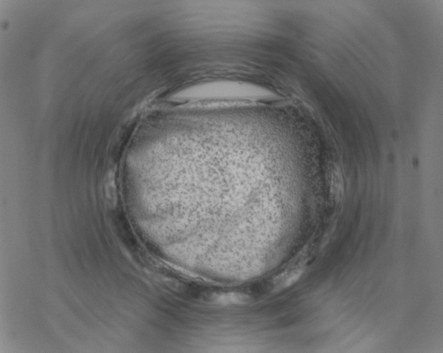 X0000076320360200610272010