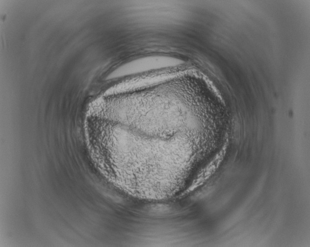 X0000076320361200610272010