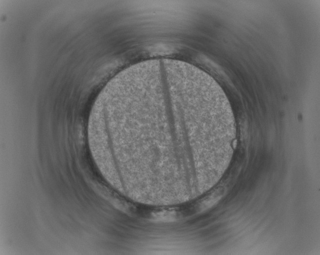 X0000076320362200610272010