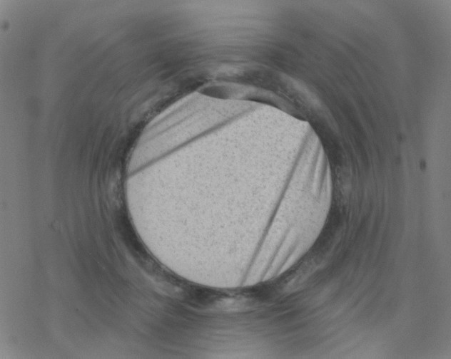 X0000076320364200610272010