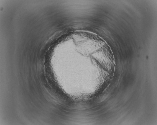 X0000076320367200610272010